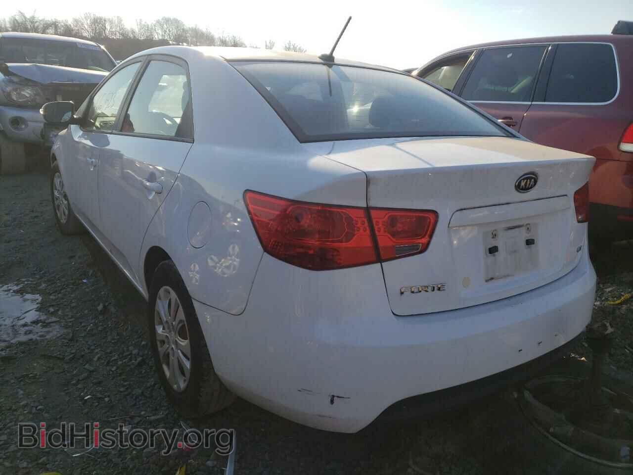 2010 KIA FORTE - VIN: KNAFU4A29A5169974 - Фото 3
