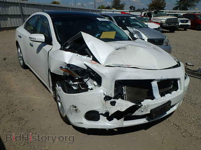 Photo 1N4AA51E29C859486 - NISSAN MAXIMA 2009