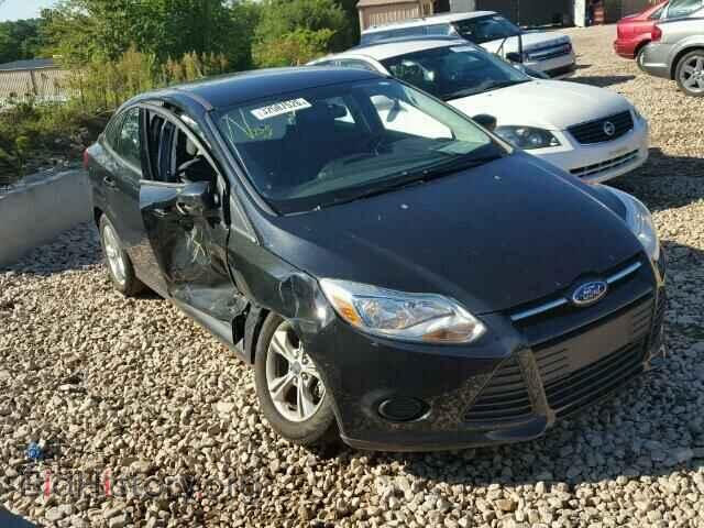 Photo 1FADP3F25DL343713 - FORD FOCUS 2013