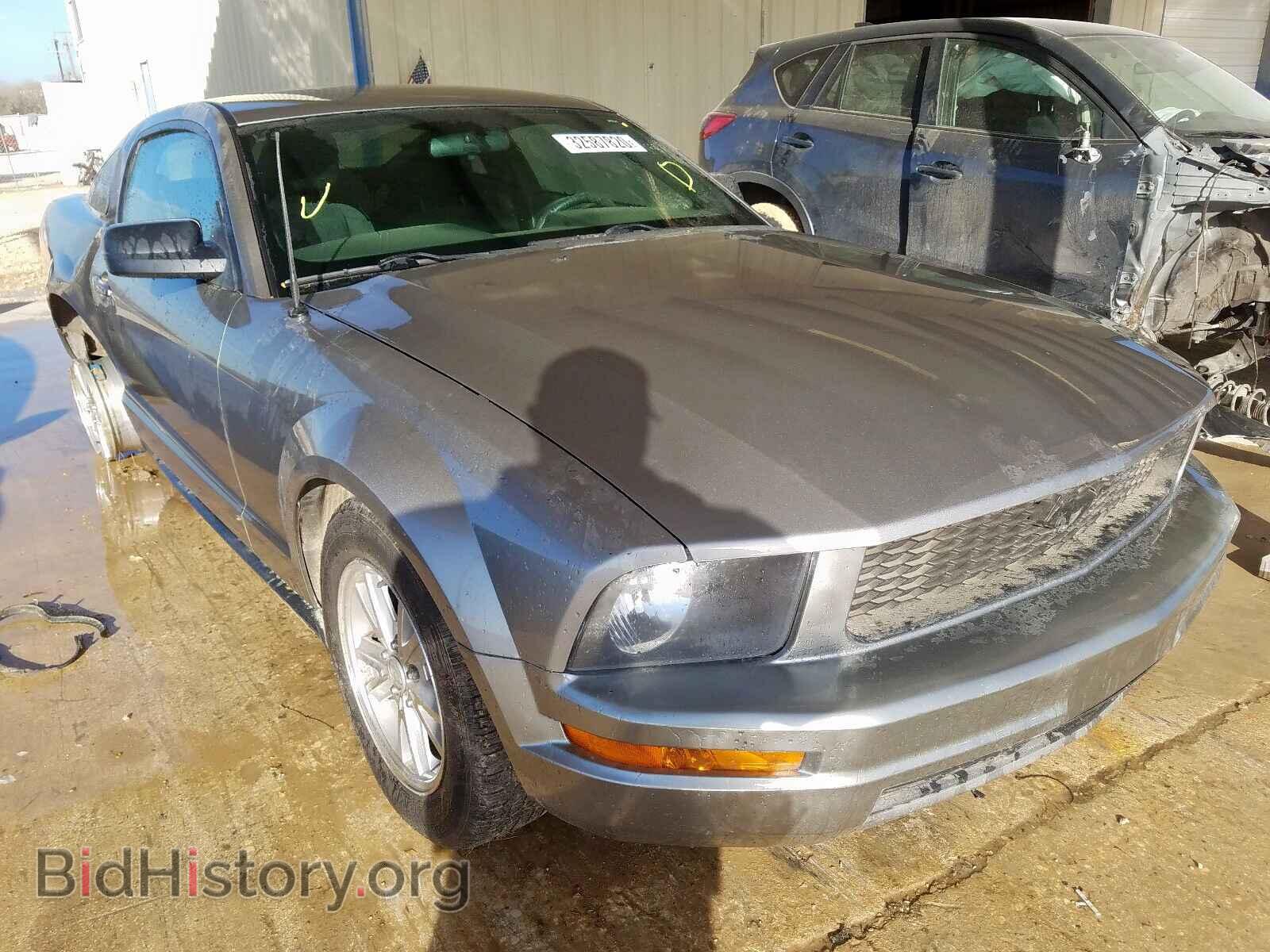 Photo 1ZVHT80N785138425 - FORD MUSTANG 2008