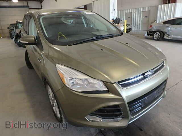 Фотография 1FMCU0HX4DUA55175 - FORD ESCAPE 2013