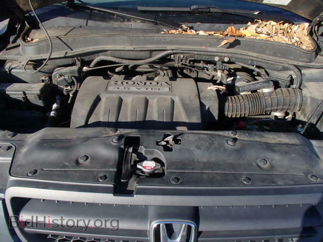 2005 HONDA PILOT - VIN: 2HKYF18545H553557 - Фото 7