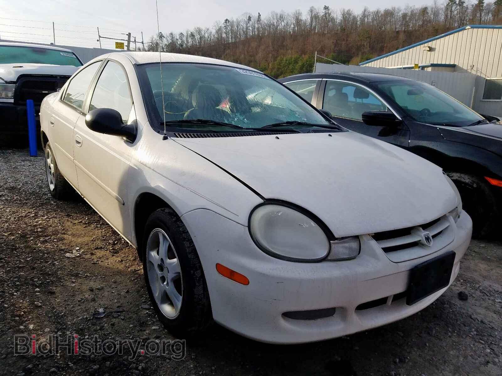 Photo 1B3AS46C82D601001 - DODGE NEON 2002