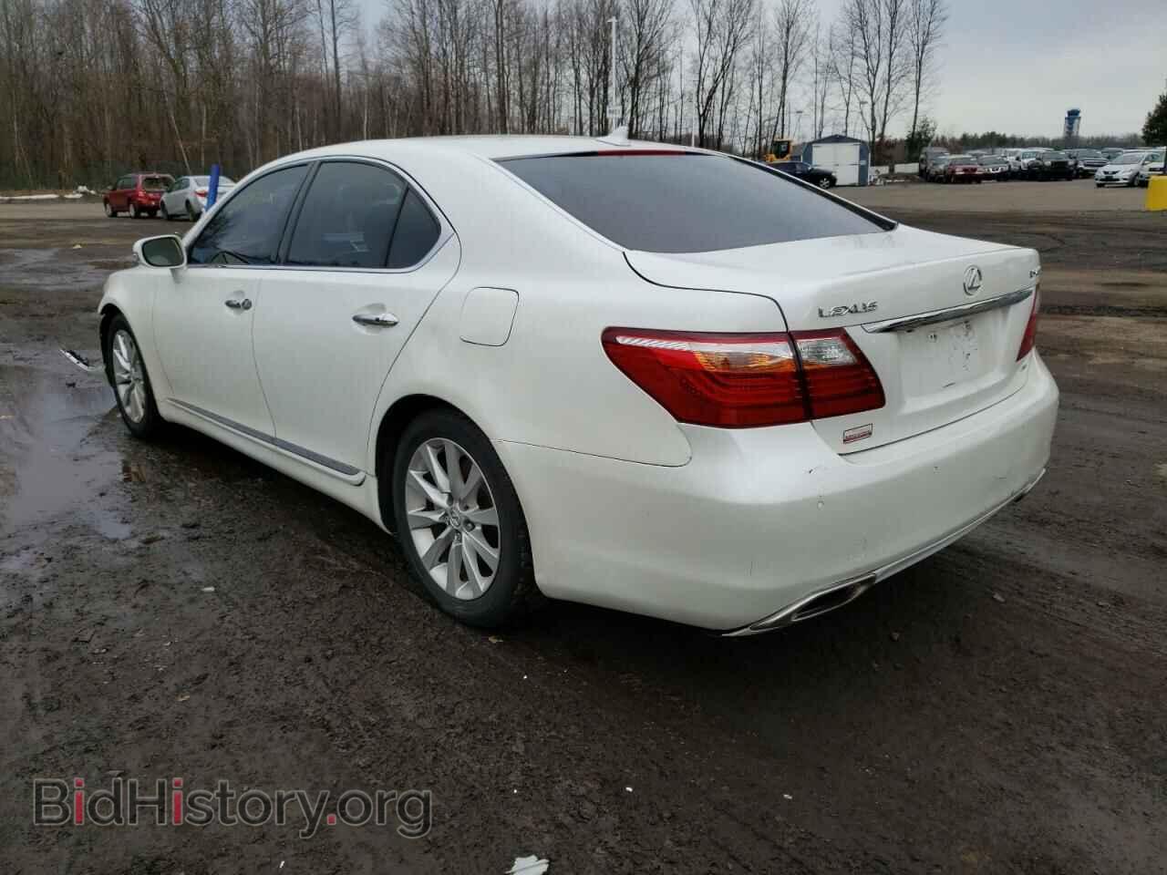 2010 LEXUS LS460 - VIN: JTHCL5EF3A5007882 - Фото 3