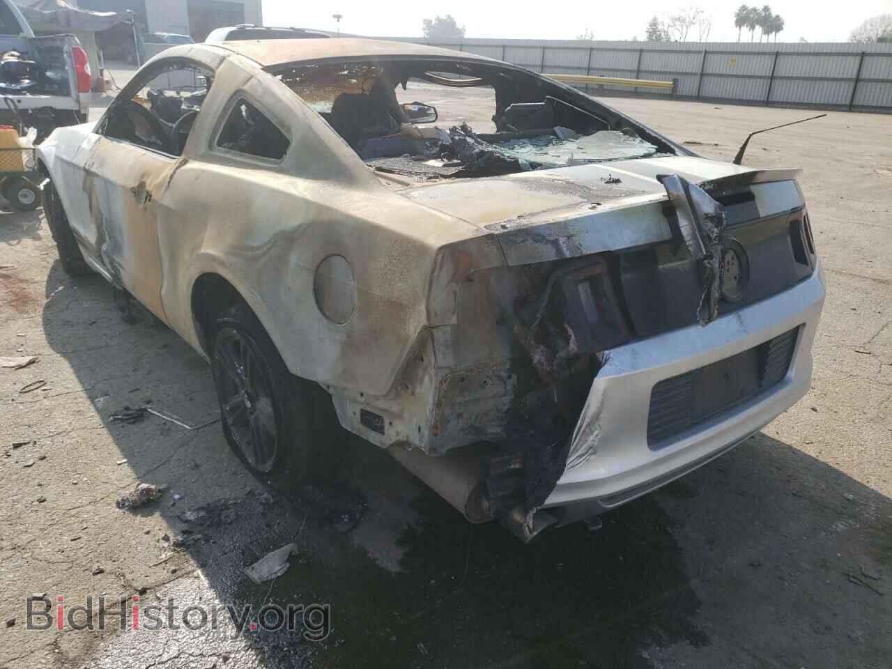 2013 FORD MUSTANG - VIN: 1ZVBP8AM7D5219189 - Фото 3