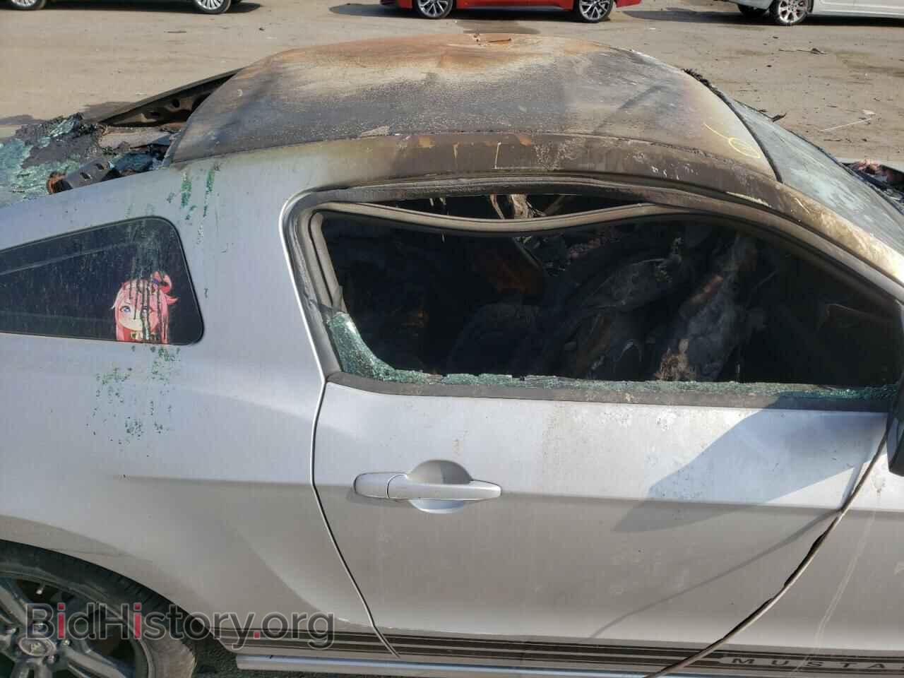 2013 FORD MUSTANG - VIN: 1ZVBP8AM7D5219189 - Фото 9