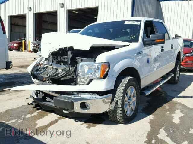2013 FORD F150 - VIN: 1FTFW1EF7DFA34533 - Фото 2