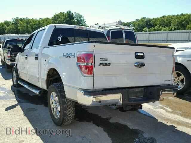 2013 FORD F150 - VIN: 1FTFW1EF7DFA34533 - Фото 3
