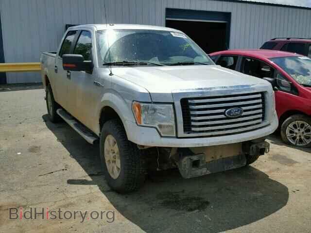 Photo 1FTEW1E83AFD65490 - FORD F150 2010
