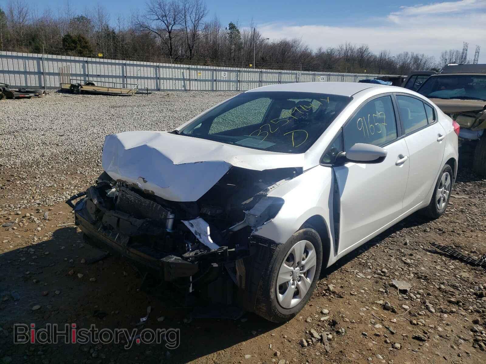2014 KIA FORTE - VIN: KNAFK4A66E5059009 - Фото 2