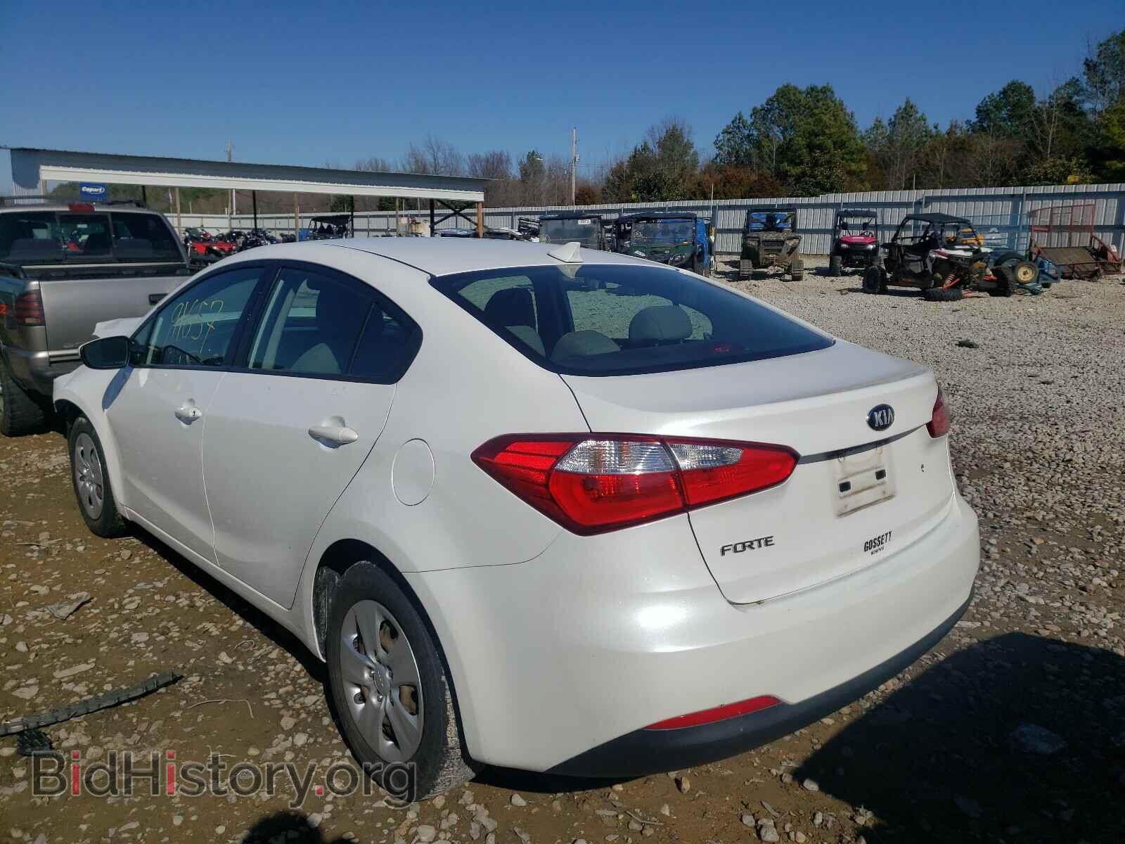 2014 KIA FORTE - VIN: KNAFK4A66E5059009 - Фото 3