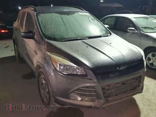 Фотография 1FMCU0G96EUE55257 - FORD ESCAPE 2014