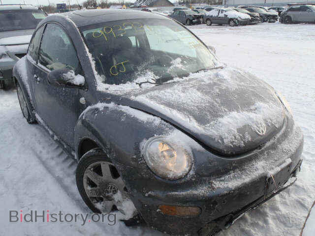 Photo 3VWDD21C02M462145 - VOLKSWAGEN BEETLE 2002