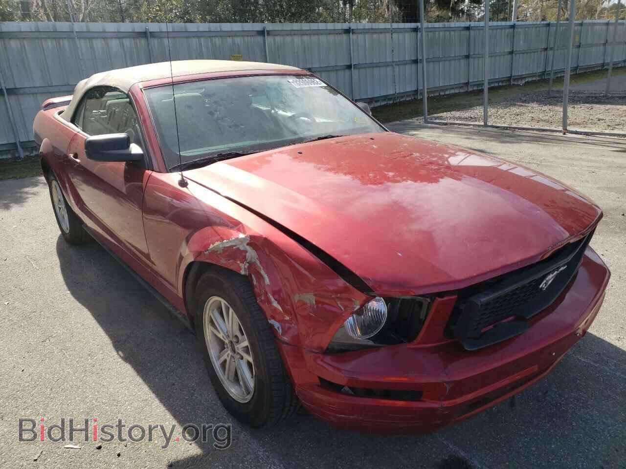 Photo 1ZVFT84N865154096 - FORD MUSTANG 2006