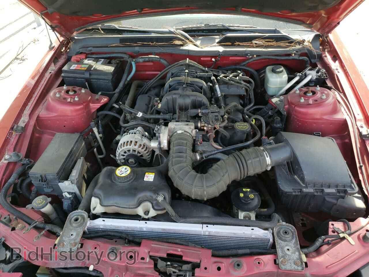 2006 FORD MUSTANG - VIN: 1ZVFT84N865154096 - Фото 7
