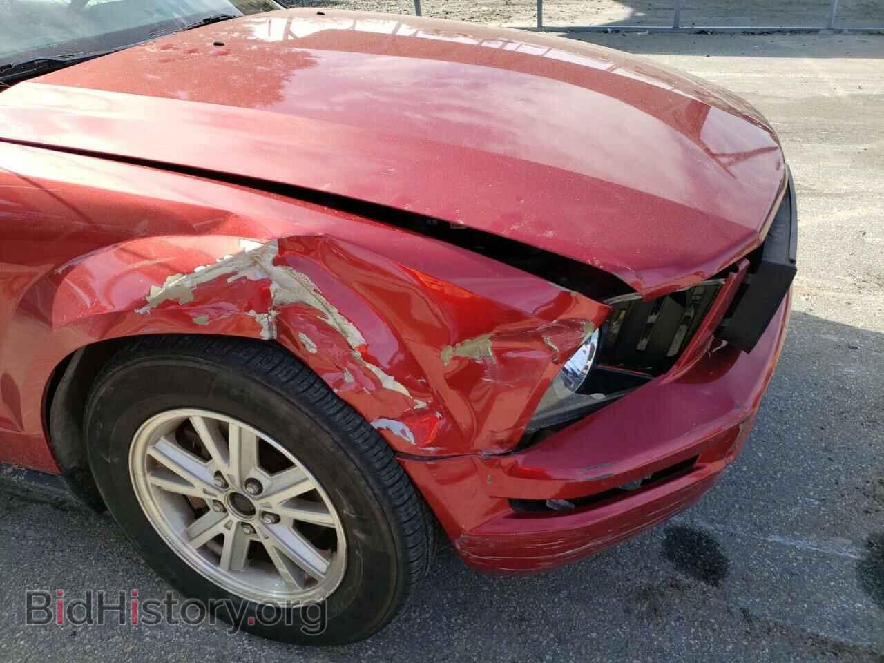 2006 FORD MUSTANG - VIN: 1ZVFT84N865154096 - Фото 9
