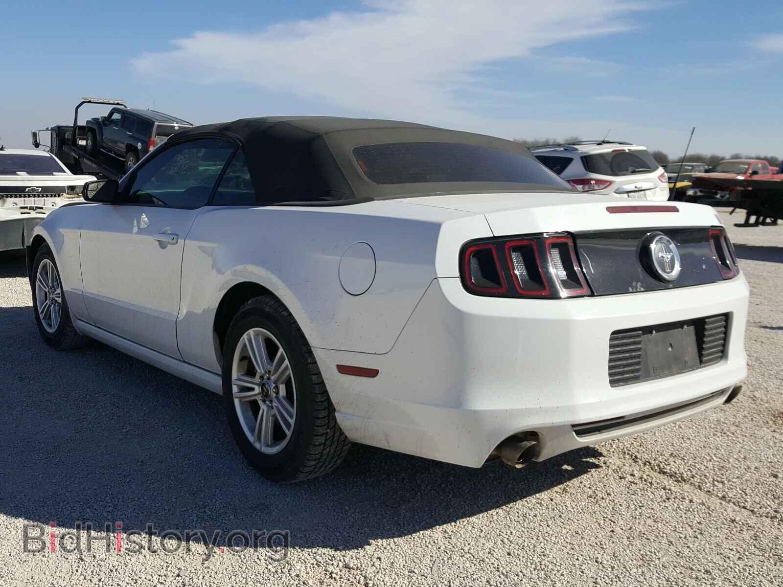 2014 FORD MUSTANG - VIN: 1ZVBP8EM9E5296819 - Фото 3