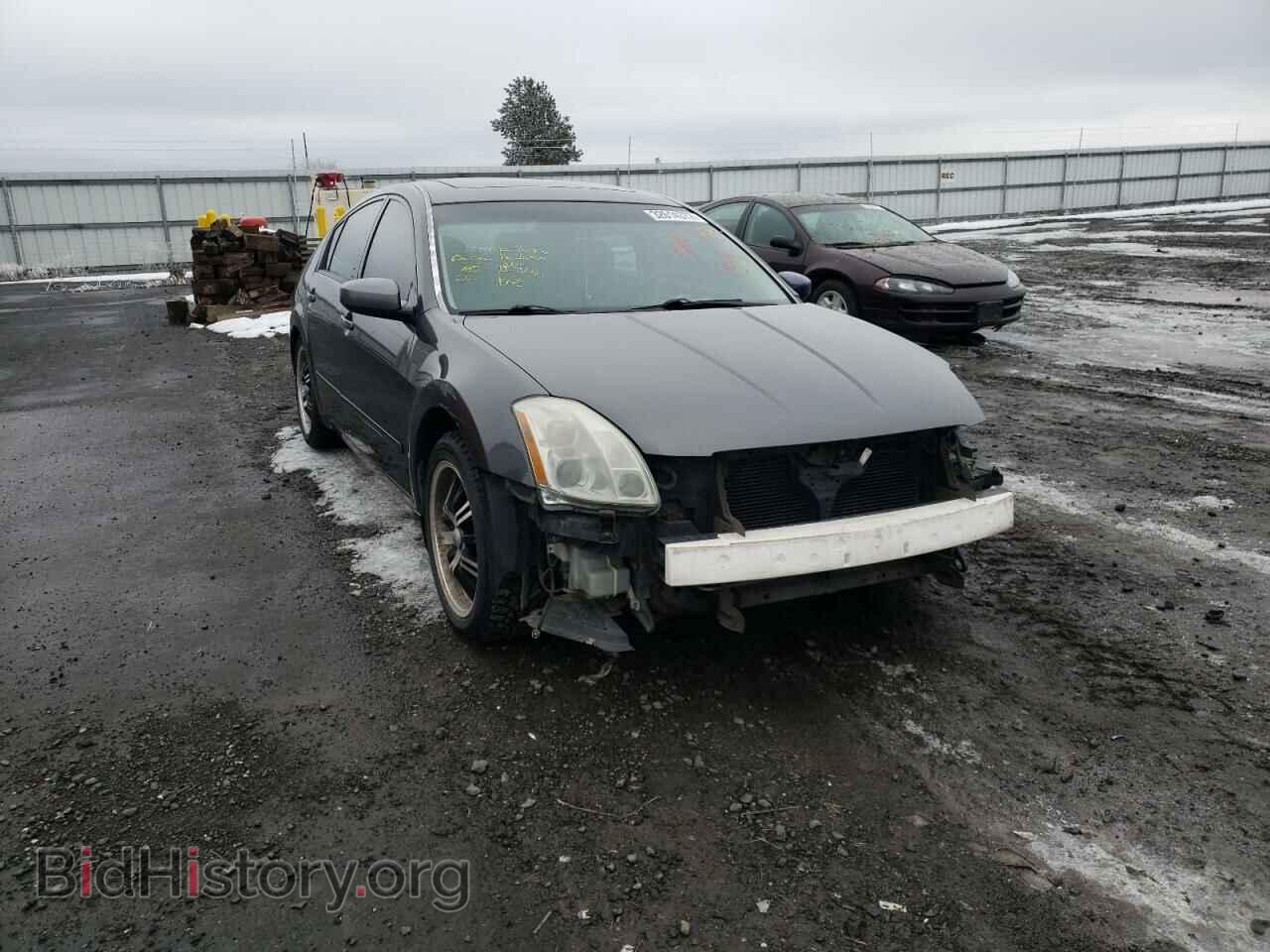 Photo 1N4BA41E46C827228 - NISSAN MAXIMA 2006