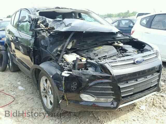 Photo 1FMCU0GX6DUD09342 - FORD ESCAPE 2013