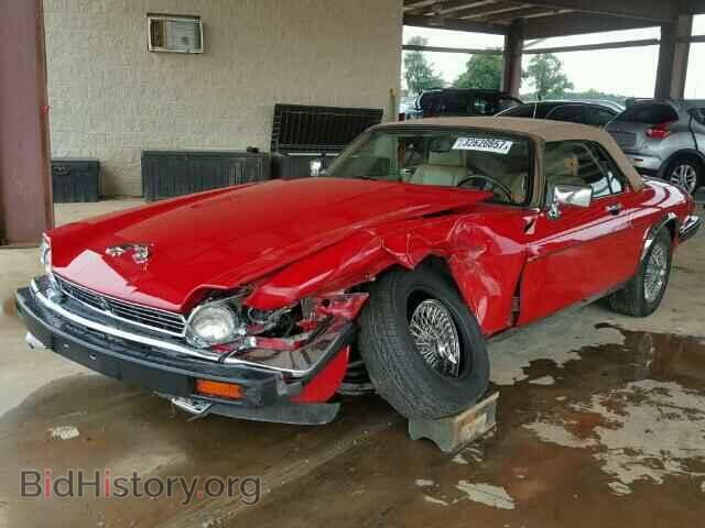 1990 JAGUAR XJS - VIN: SAJTW4841LC175260 - Фото 2