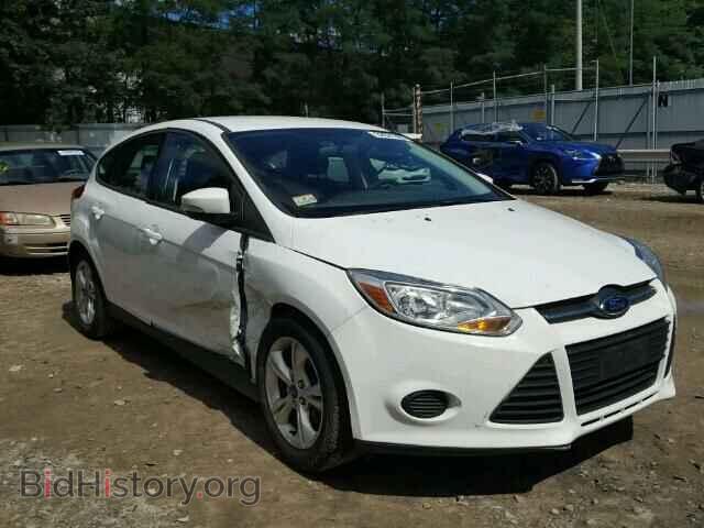 Photo 1FADP3K26DL223523 - FORD FOCUS 2013