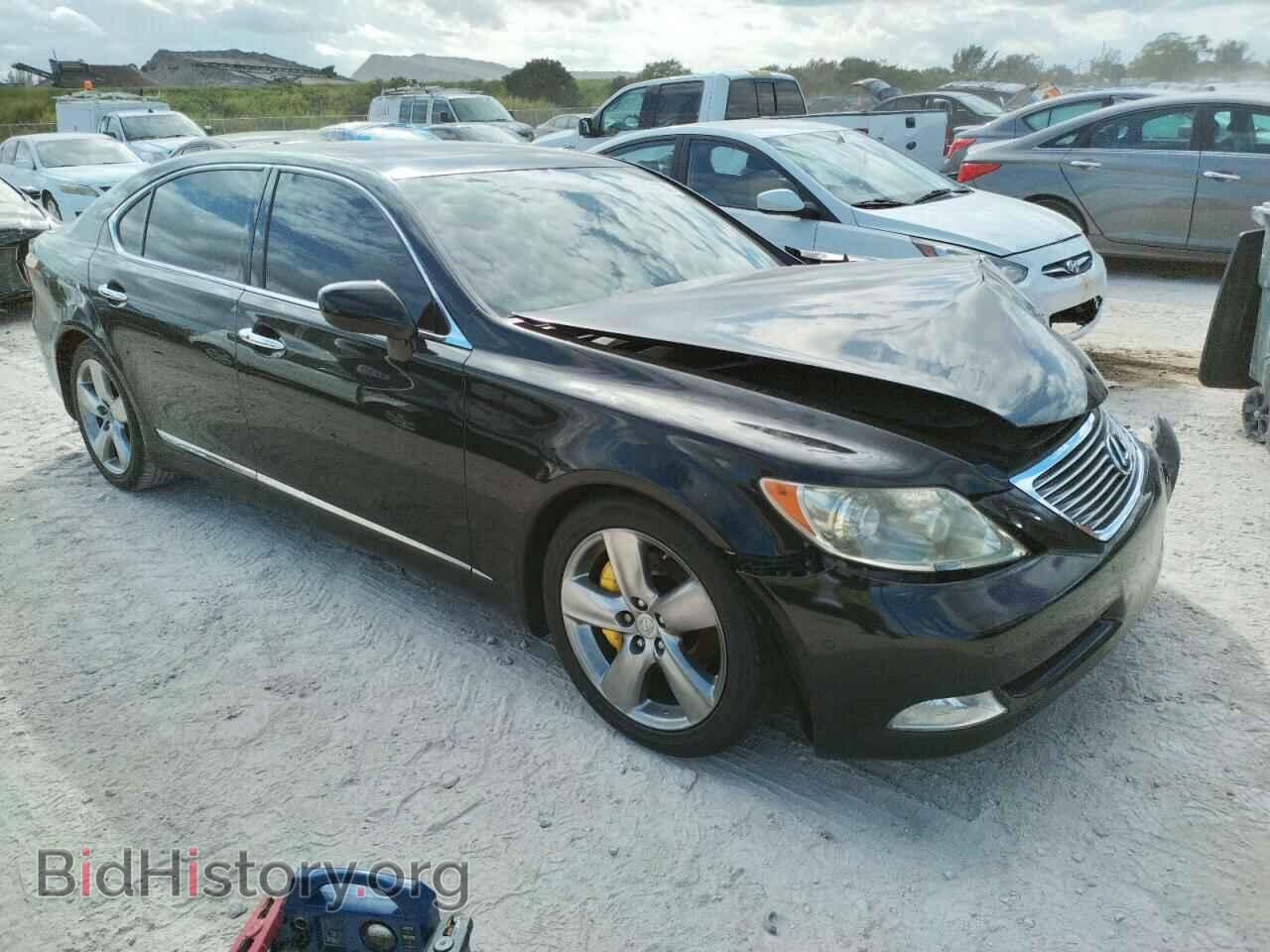 Photo JTHGL46F995034171 - LEXUS LS460 2009