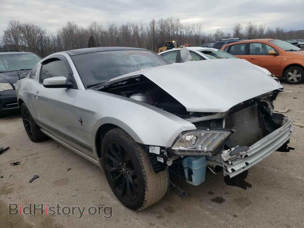 Photo 1ZVBP8AM6E5285010 - FORD MUSTANG 2014