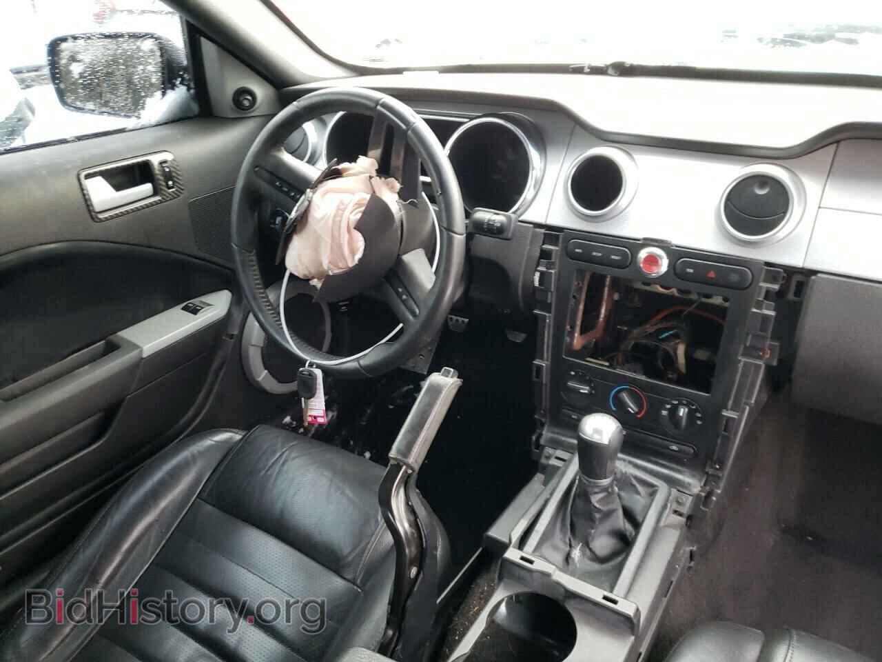 2006 FORD MUSTANG - VIN: 1ZVHT82H665166558 - Фото 9