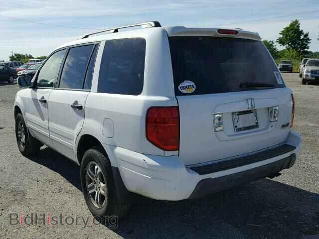 2005 HONDA PILOT - VIN: 5FNYF18525B031976 - Фото 3