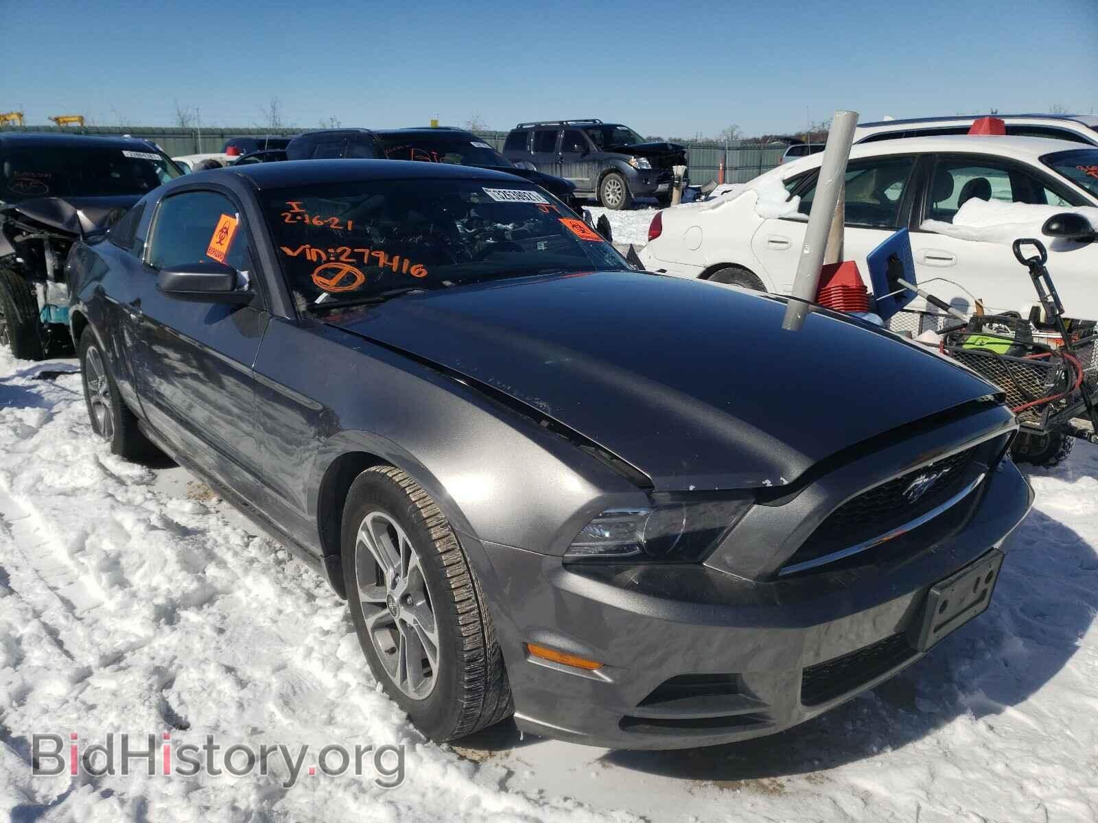 Photo 1ZVBP8AM4E5279416 - FORD MUSTANG 2014