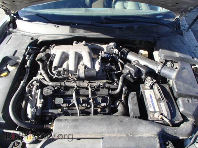 2006 NISSAN MAXIMA - VIN: 1N4BA41E06C823015 - Фото 7