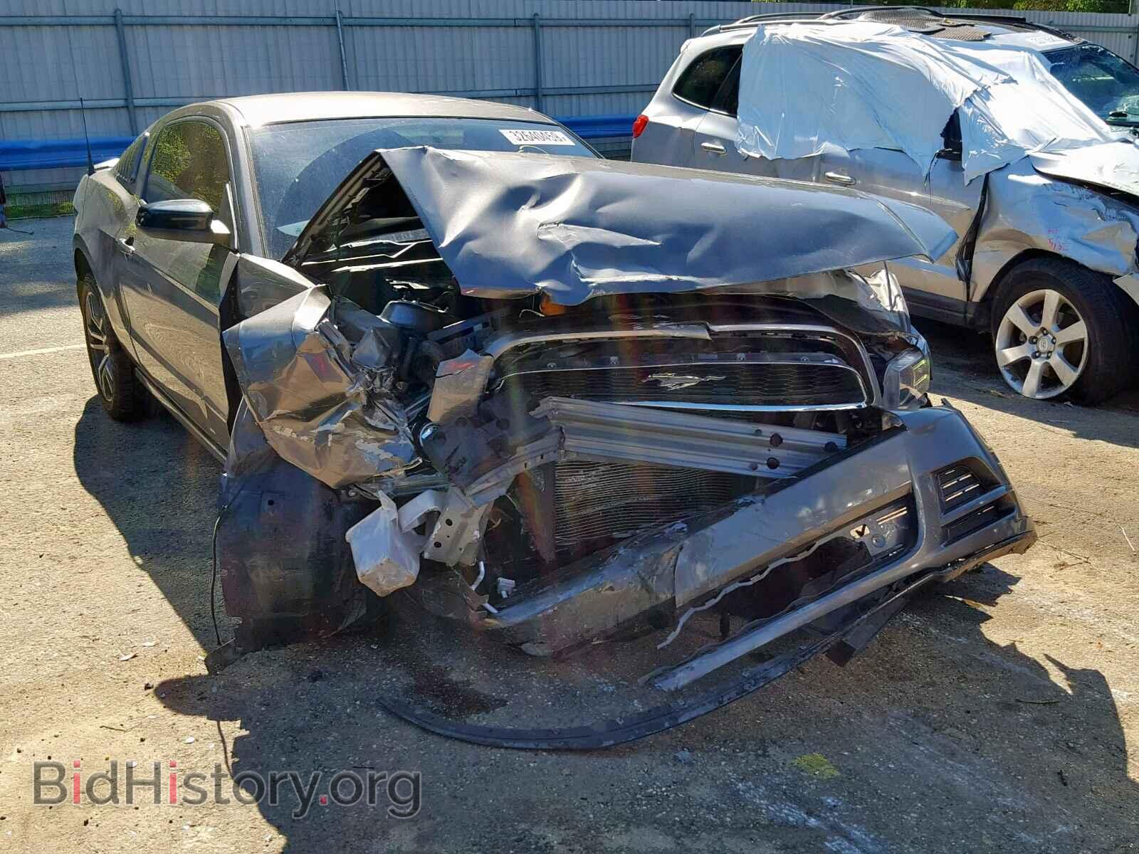 Photo 1ZVBP8AM0E5315232 - FORD MUSTANG 2014