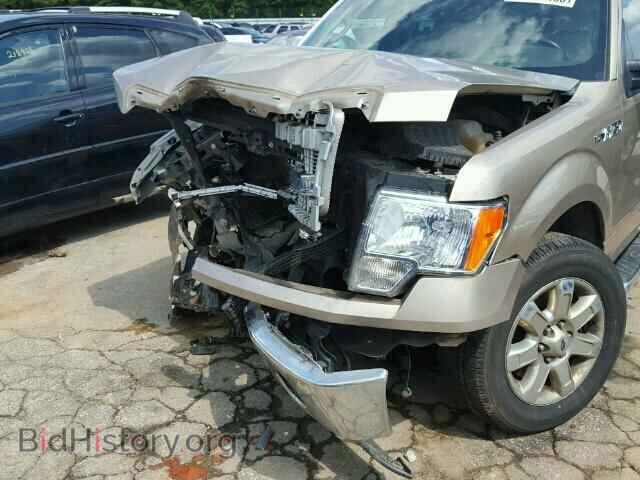 2013 FORD F150 - VIN: 1FTFW1CF1DFA34207 - Фото 10