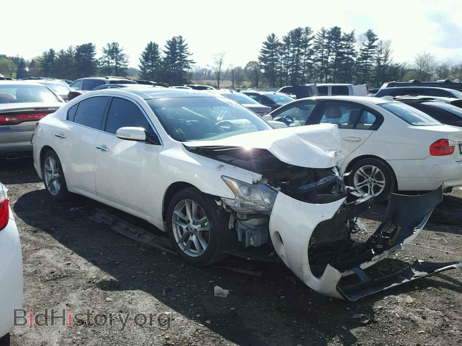Photo 1N4AA5AP3BC816119 - NISSAN MAXIMA S 2011