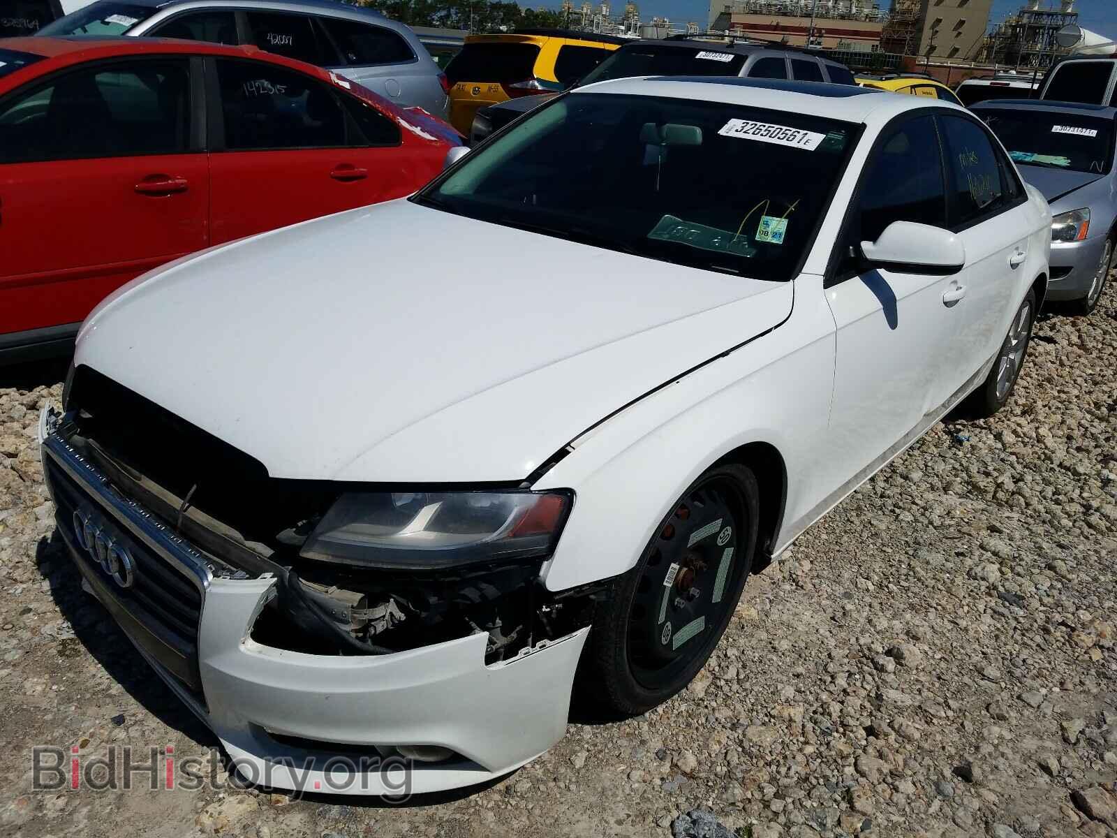 2011 AUDI A4 - VIN: WAUAFAFL2BN053425 - Фото 2