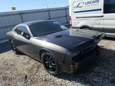 2013 Dodge CHALLENGER, gray — VIN 2C3CDYAG3DH692479, Copart