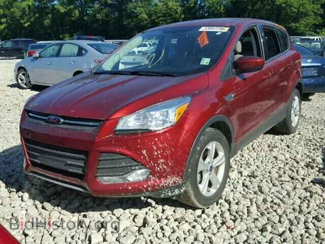 2014 FORD ESCAPE - VIN: 1FMCU0GX7EUC81603 - Фото 2