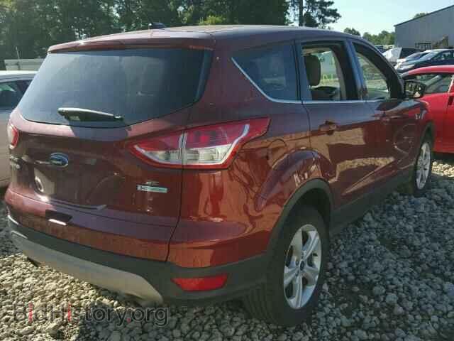 2014 FORD ESCAPE - VIN: 1FMCU0GX7EUC81603 - Фото 4