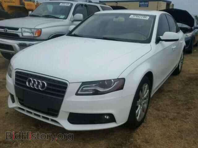 2011 AUDI A4 - VIN: WAUEFAFL3BN010505 - Фото 2