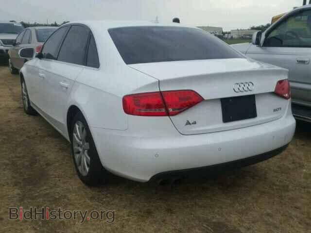 2011 AUDI A4 - VIN: WAUEFAFL3BN010505 - Фото 3