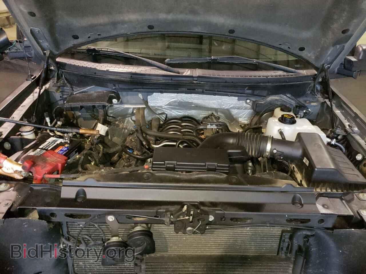 2012 FORD F150 - VIN: 1FTMF1EF7CFB13996 - Фото 7