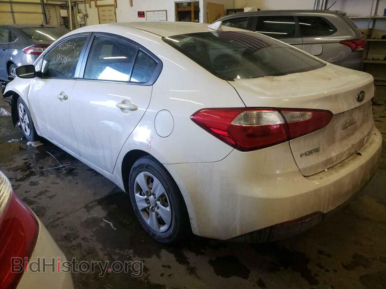 2014 KIA FORTE - VIN: KNAFK4A67E5064591 - Фото 3