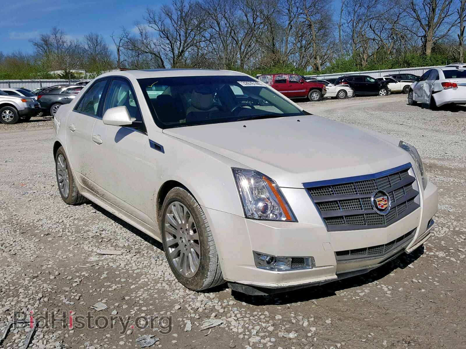 Photo 1G6DK5ED0B0108564 - CADILLAC CTS 2011