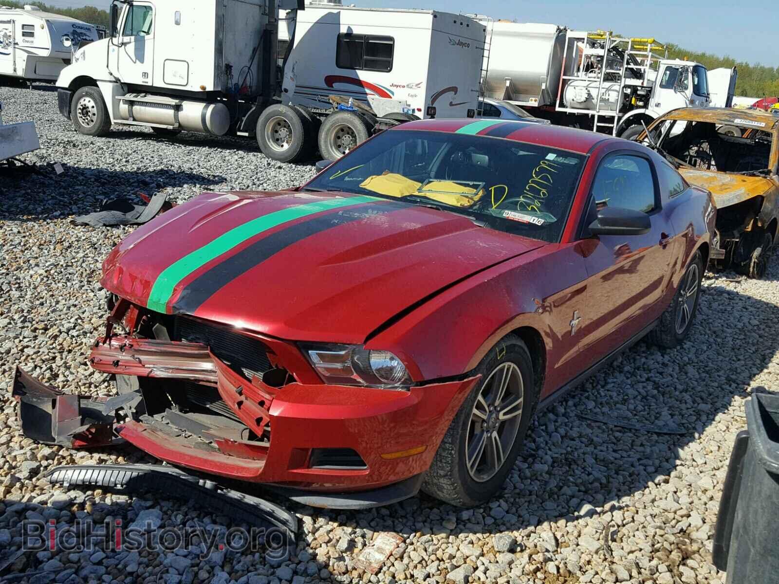 2011 FORD MUSTANG - VIN: 1ZVBP8AM8B5166600 - Фото 2