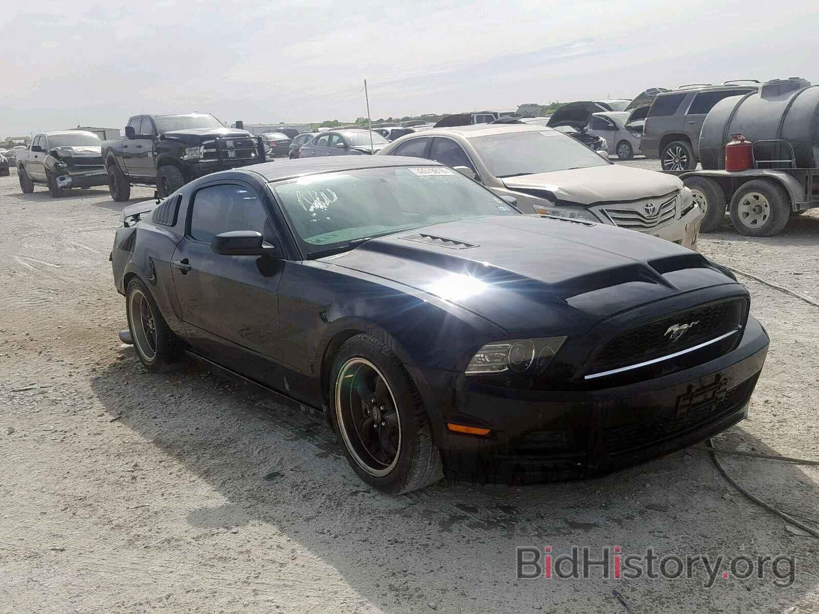 Photo 1ZVBP8AM7D5226613 - FORD MUSTANG 2013