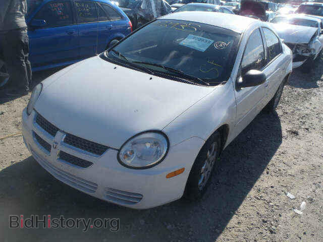 2005 DODGE NEON - VIN: 1B3ES56C15D174997 - Фото 3