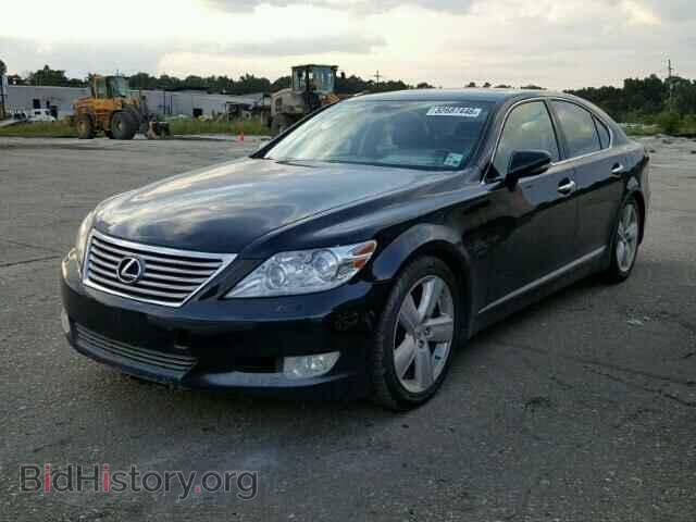 2011 LEXUS LS460 - VIN: JTHBL5EF9B5102380 - Фото 2