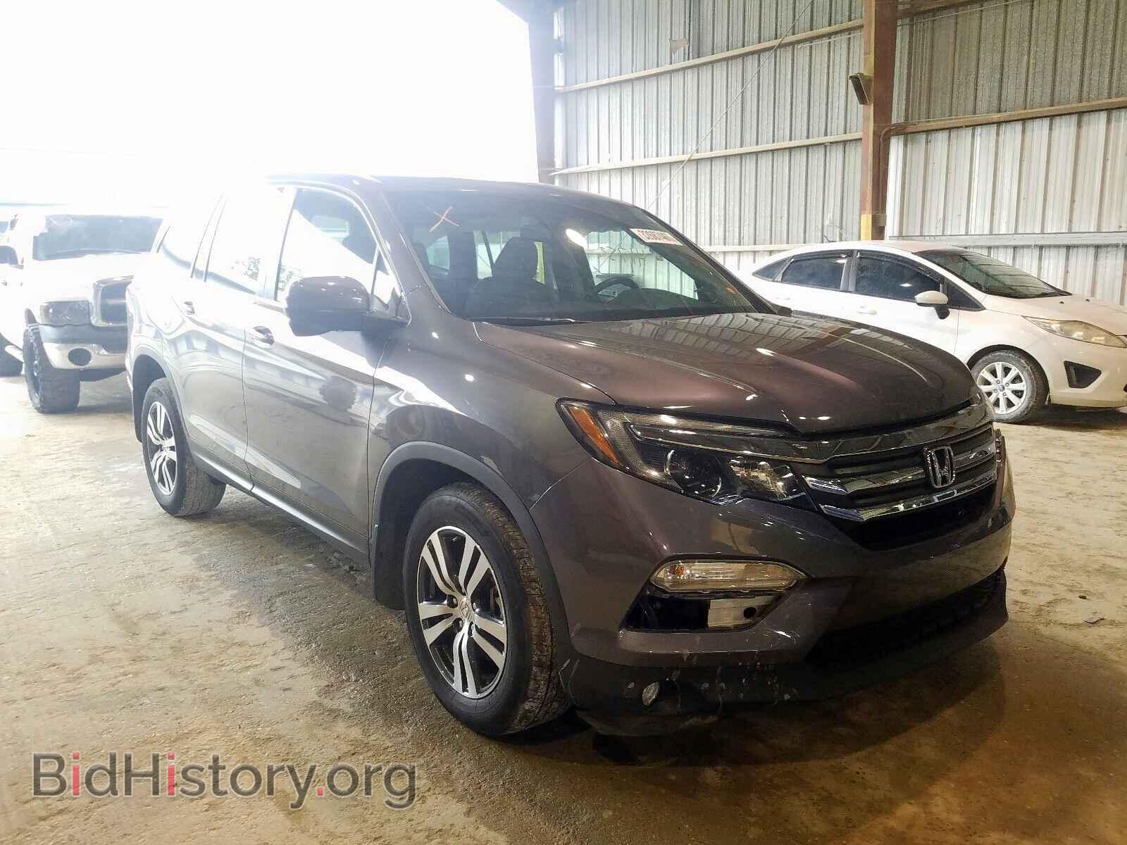 Photo 5FNYF5H70HB033108 - HONDA PILOT 2017