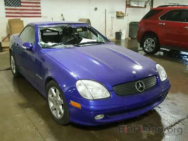 Photo WDBKK49F32F267052 - MERCEDES-BENZ SLK230 2002