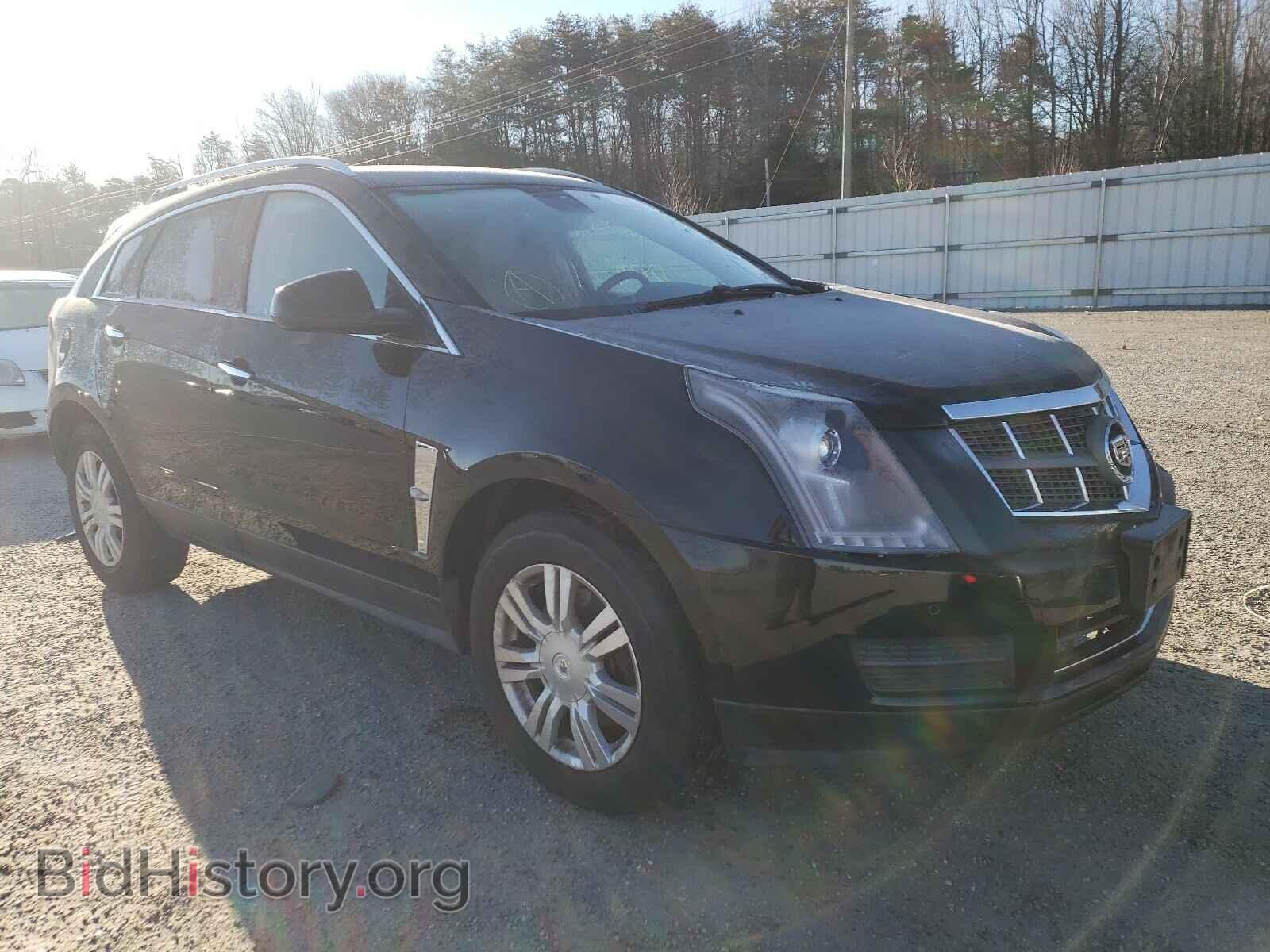 Фотография 3GYFNDEY0AS611054 - CADILLAC SRX 2010